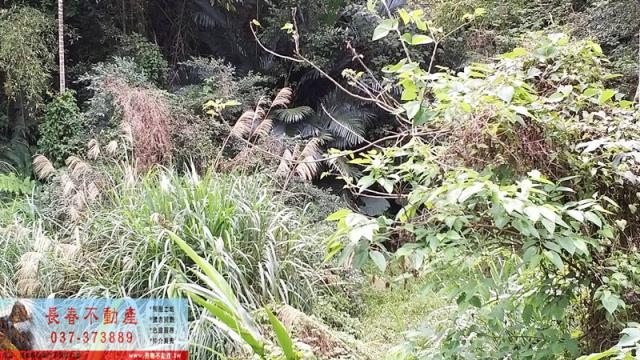 苗栗建地-4