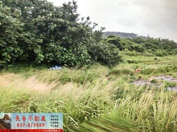 苗栗通霄農地-1