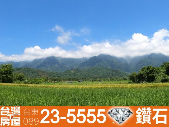 長濱農地-10