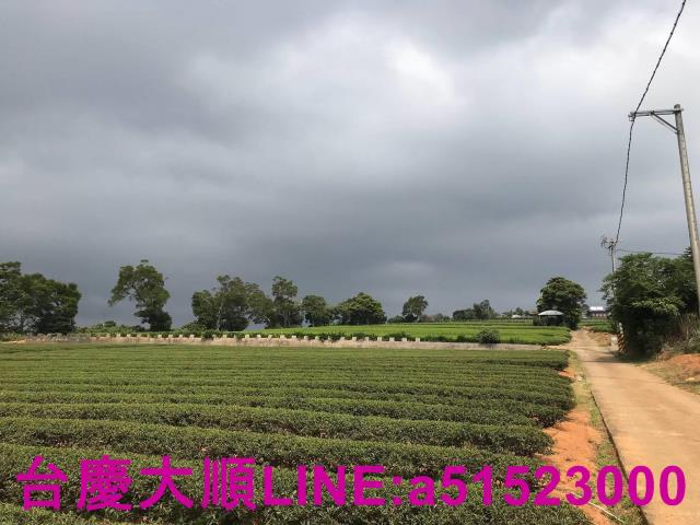 新竹農地-3