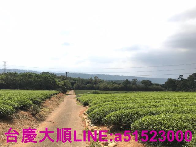 新竹農地-4
