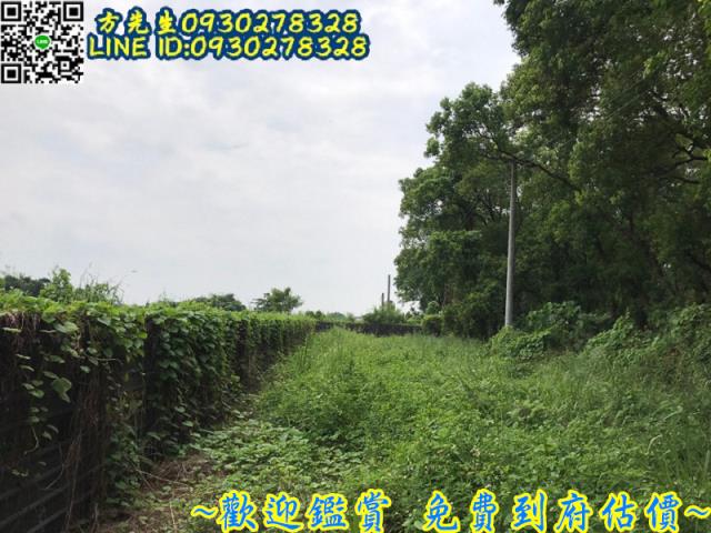 台南官田農地-3