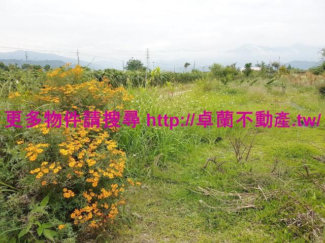 苗栗卓蘭農地-1