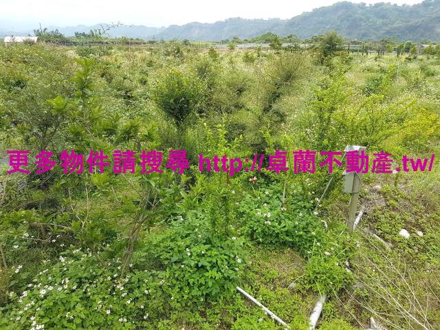 苗栗卓蘭農地-2