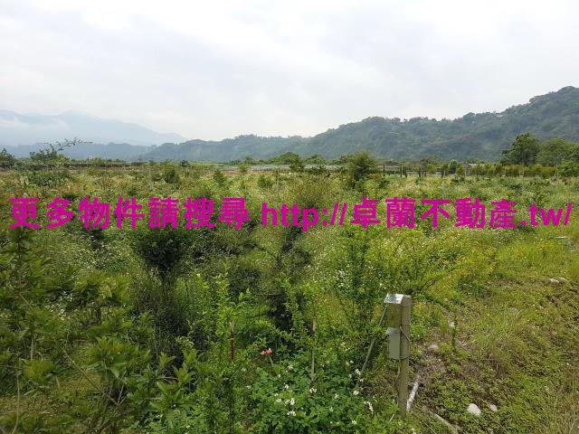 苗栗卓蘭農地-3