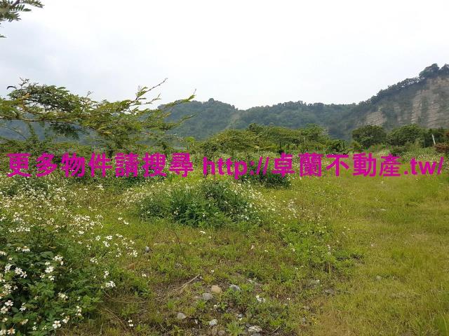 苗栗卓蘭農地-5