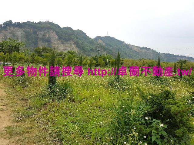 苗栗卓蘭農地-7