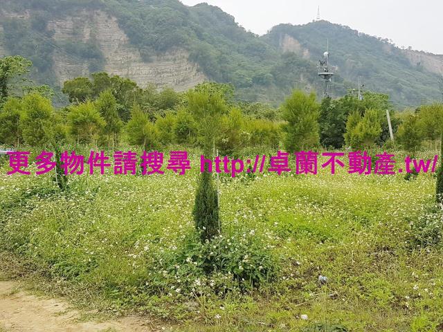 苗栗卓蘭農地-9