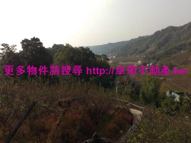 卓蘭農地-1