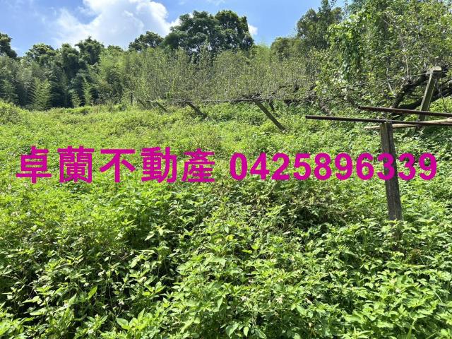 卓蘭農地-6