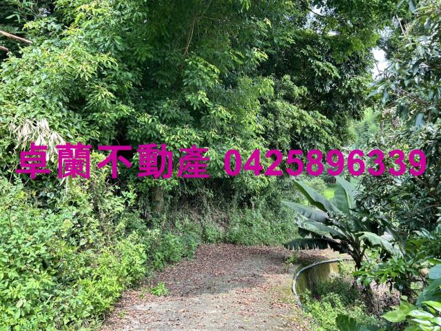卓蘭農地-7