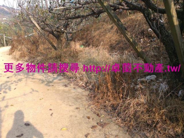 卓蘭農地-4