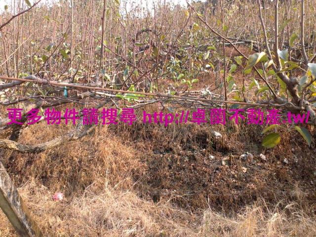 卓蘭農地-5