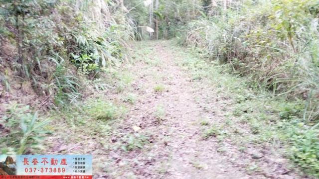 苗栗頭屋農地-3
