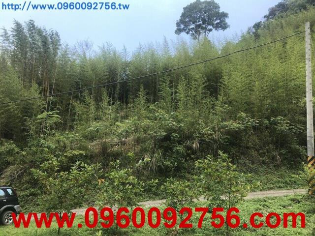 尖石農地-2