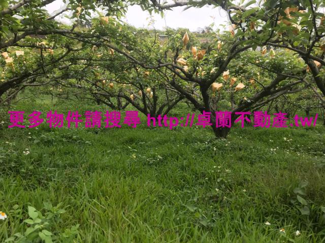 苗栗卓蘭農地-1