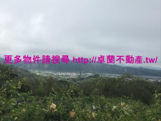 苗栗卓蘭農地-3