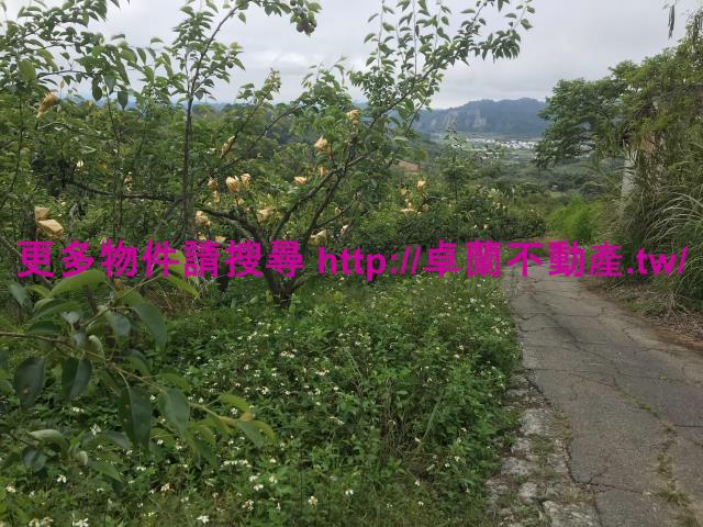 苗栗卓蘭農地-4
