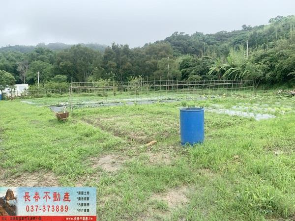 西湖建地-4