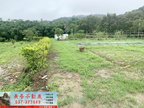 西湖建地-5