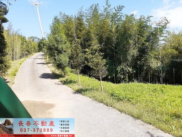 造橋農地-3