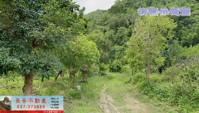 苗栗公館林地-1