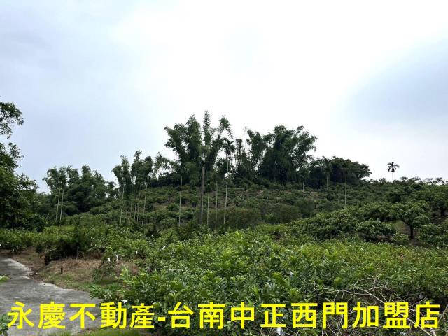 南化農地-1