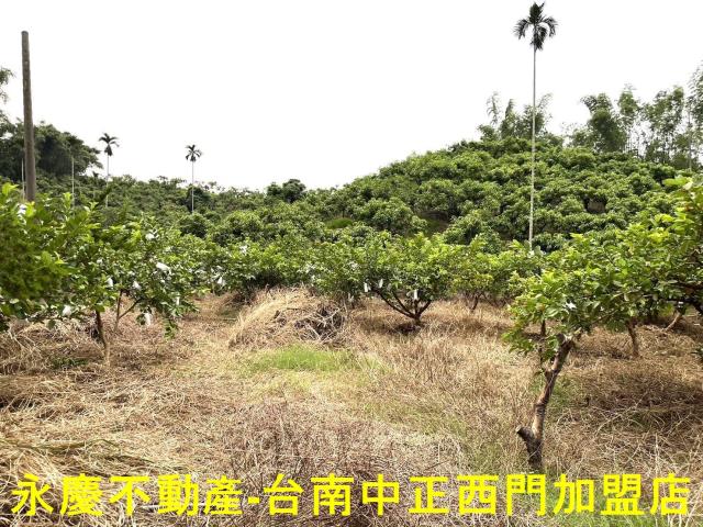 南化農地-2