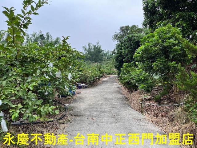 南化農地-5