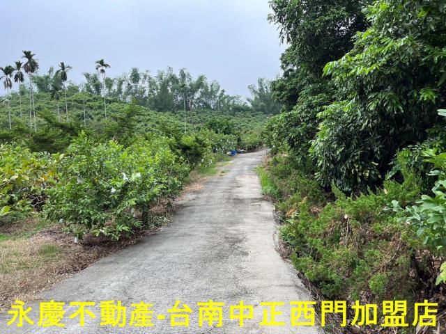 南化農地-6