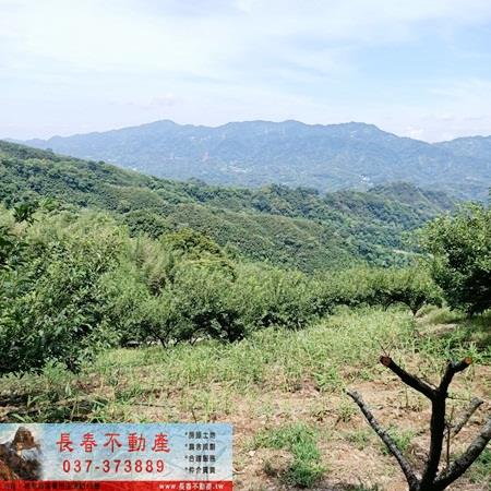大湖農地-4