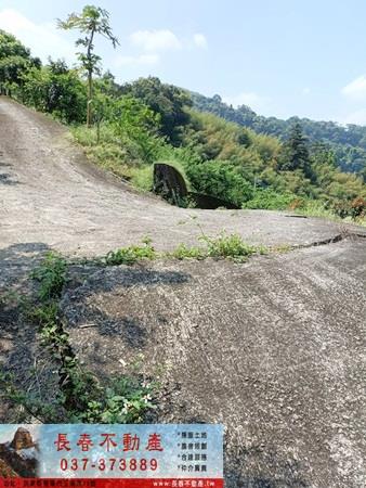 大湖農地-10