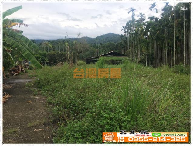 嘉義農地-3