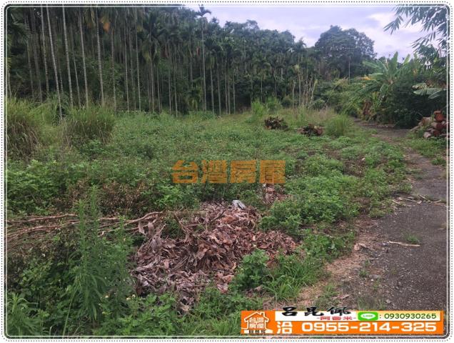 嘉義農地-4