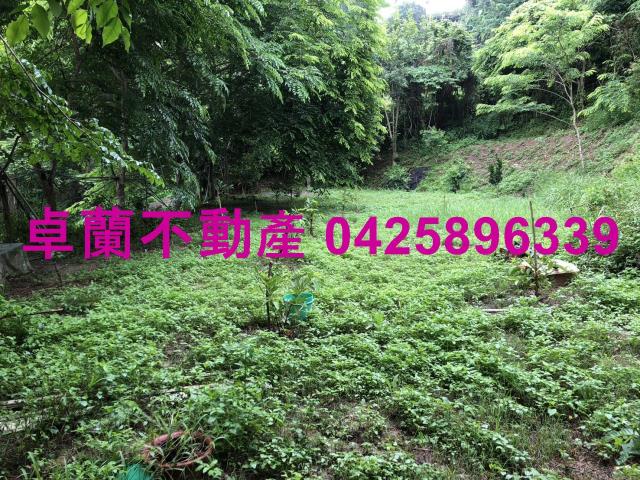 苗栗農地-12