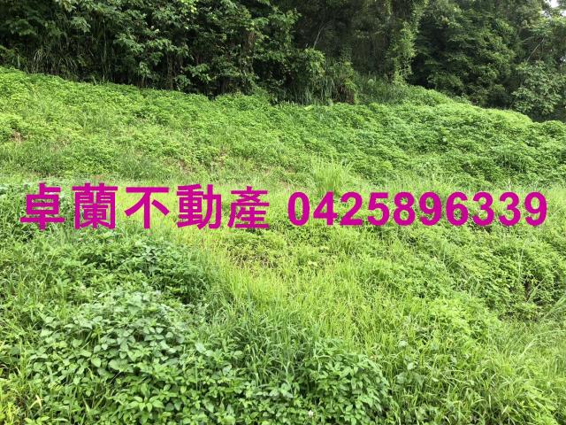 苗栗農地-14