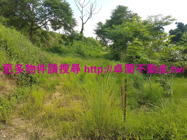 苗栗農地-4