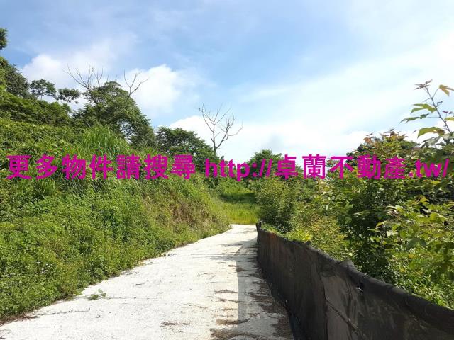 苗栗農地-8