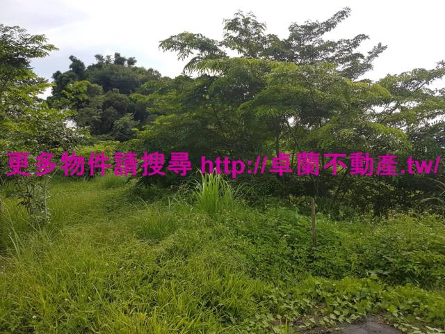 苗栗農地-9