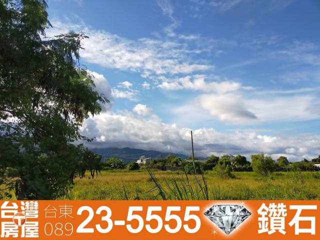 台東仲介公司