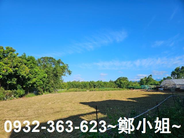 桃園八德農地-6