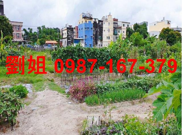 高雄大寮農地-5