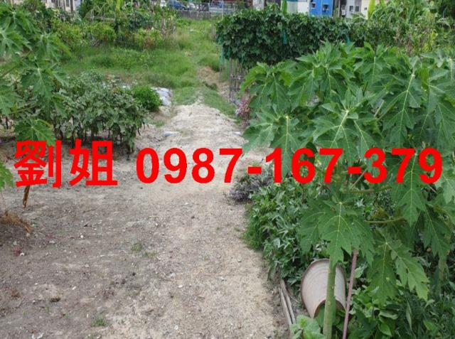 高雄大寮農地-4