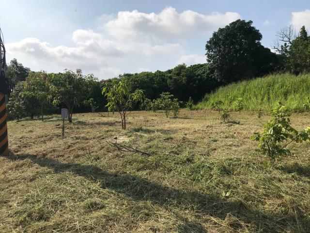 高雄大樹建地-7