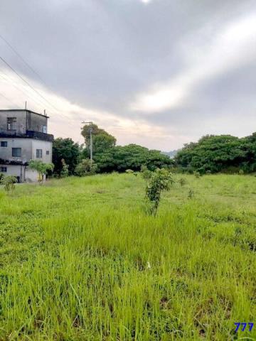 高雄大樹建地-5