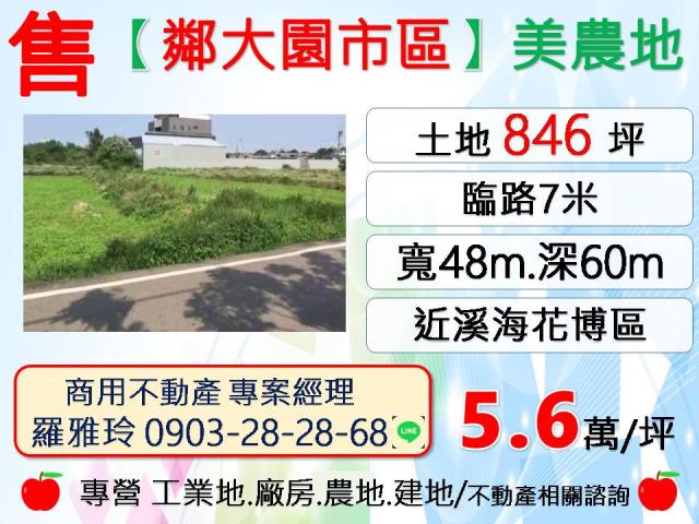 桃園大園農地-1