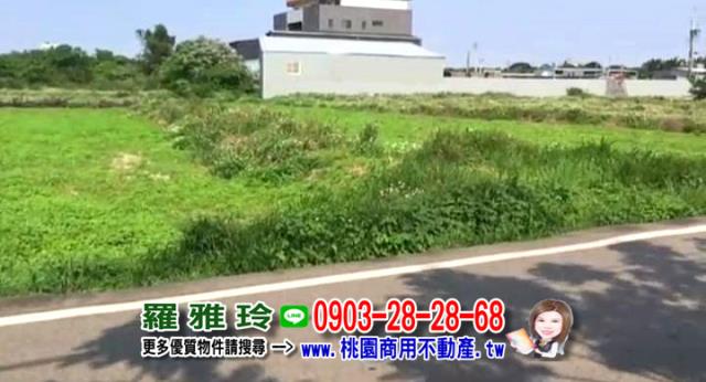 桃園大園農地-2