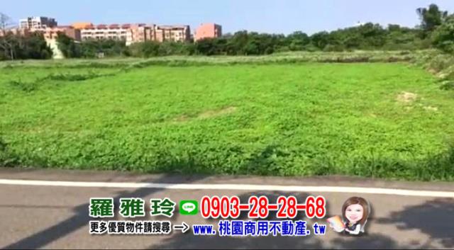 桃園大園農地-3
