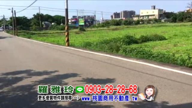 桃園大園農地-4