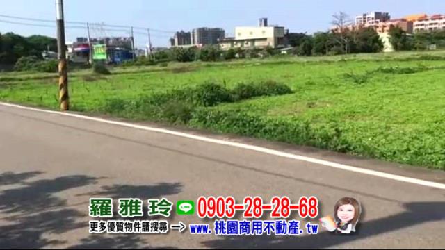桃園大園農地-5